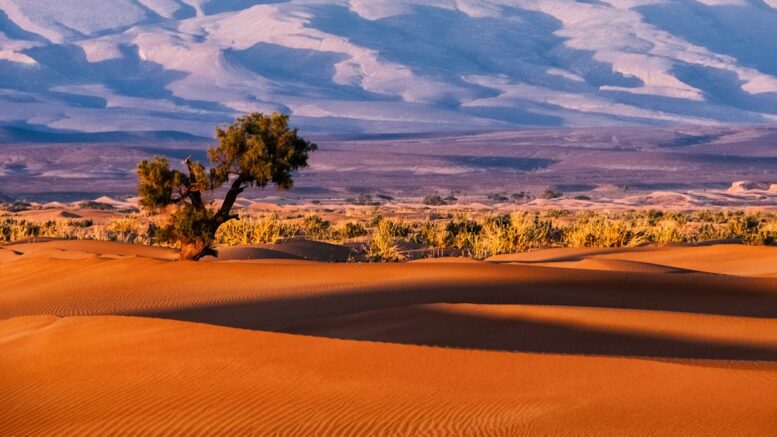 Traverser le Sud marocain en 4x4 sans y laisser de cicatrices