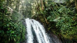 Voyager plus responsable en Guadeloupe, sans se raconter d'histoires