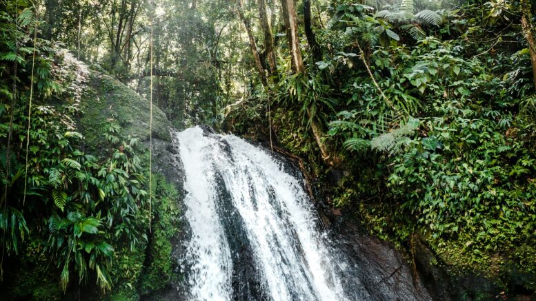 Voyager plus responsable en Guadeloupe, sans se raconter d'histoires